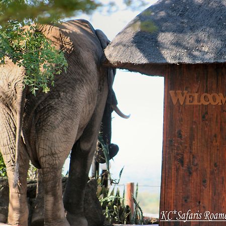 Roamers Rest Safari Lodge Заповедник Балуле Экстерьер фото